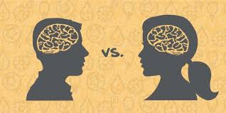  تفاوت زنان و مردان در مغز و یادگیری2 