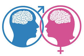  تفاوت زنان و مردان در مغز و یادگیری3 