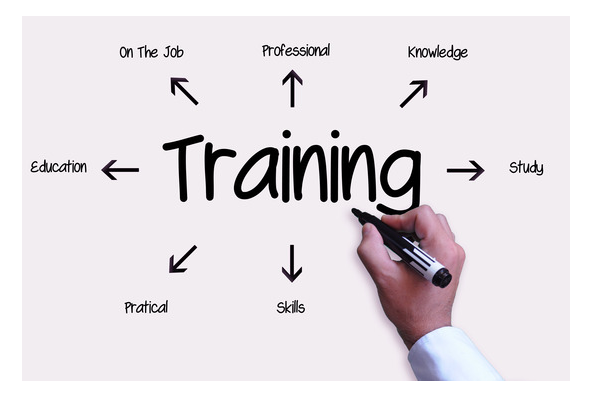 What Does a Training Specialist Do?