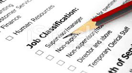  Job Classification 