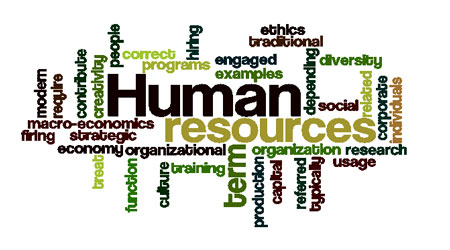  اجرای استراتژی منابع انسانی 