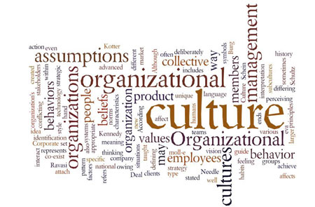  تجزیه و تحلیل فرهنگ سازمانی 