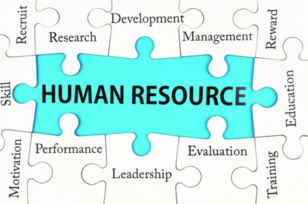  نقش‌های استراتژیک خاص منابع انسانی 