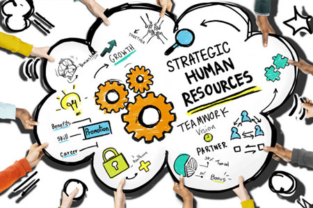 نقش‌های استراتژیک خاص منابع انسانی 
