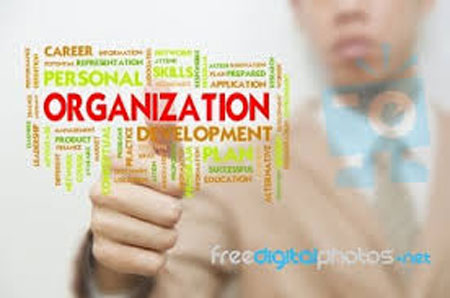  فعالیت های بهبود سازمانی (OD) 