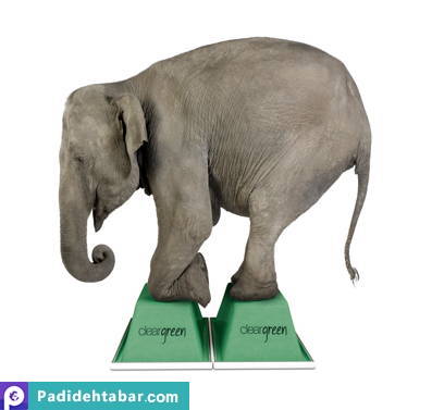 elephantine decision making